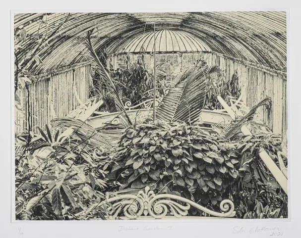 Photogravure – From Photography to Etching