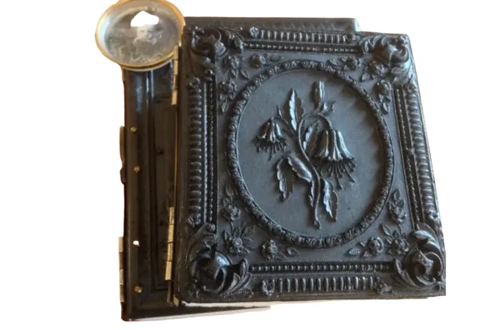 Gutta Percha: The Dark Beauty