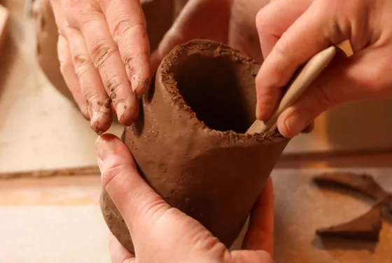 Wild Clay