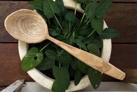 Greenwood Cooking Spoon Carving