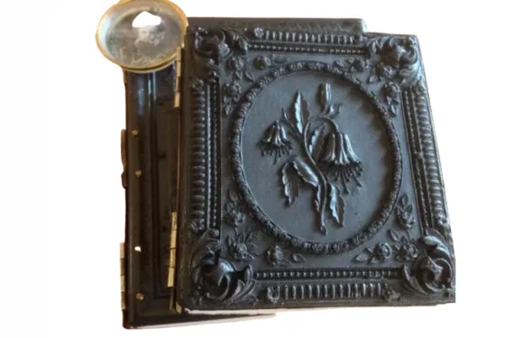 Gutta Percha: The Dark Beauty