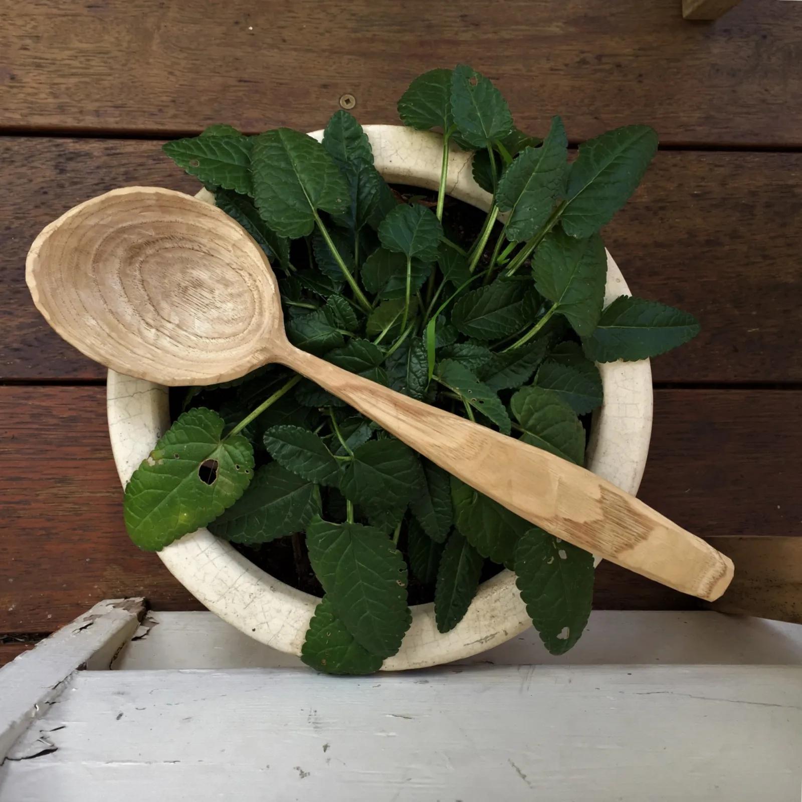 Green Wood Working - Carve A Cooking Spoon