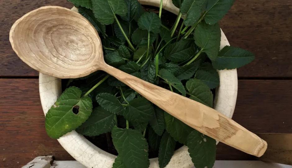 Green Wood Working - Carve A Cooking Spoon